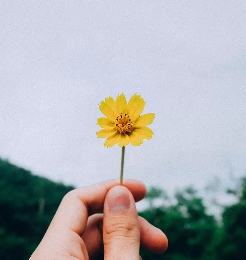 公告｜華而登官網上線始動！